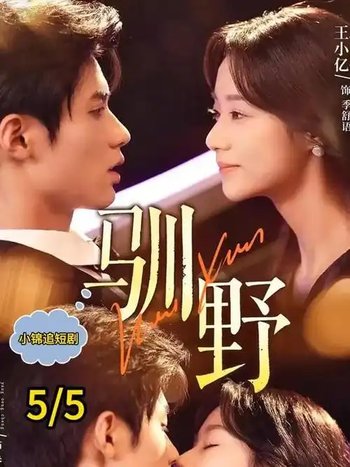 归途列车电视剧全集免费在线观看
